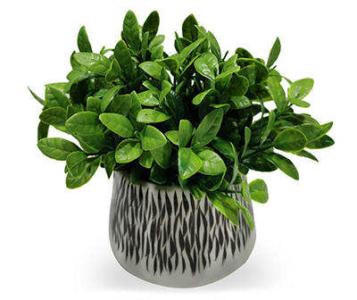 Laurel Plant in Black & White Ceramic Pot