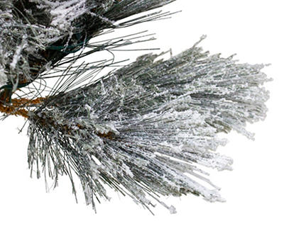 4.5' Black Spruce Flocked Unlit Artificial Christmas Tree