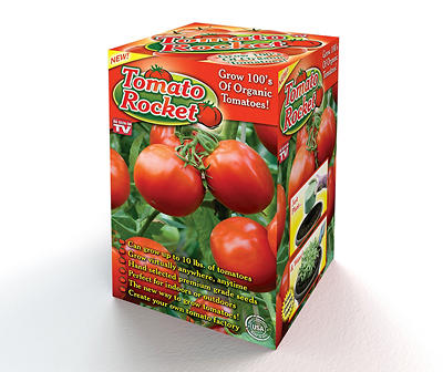 Tomato Rocket Seed Disc