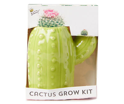 Ceramic Cactus Grow Kit