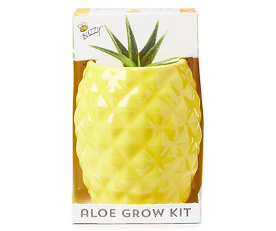 Aloe Ceramic Pineapple Grow Kit