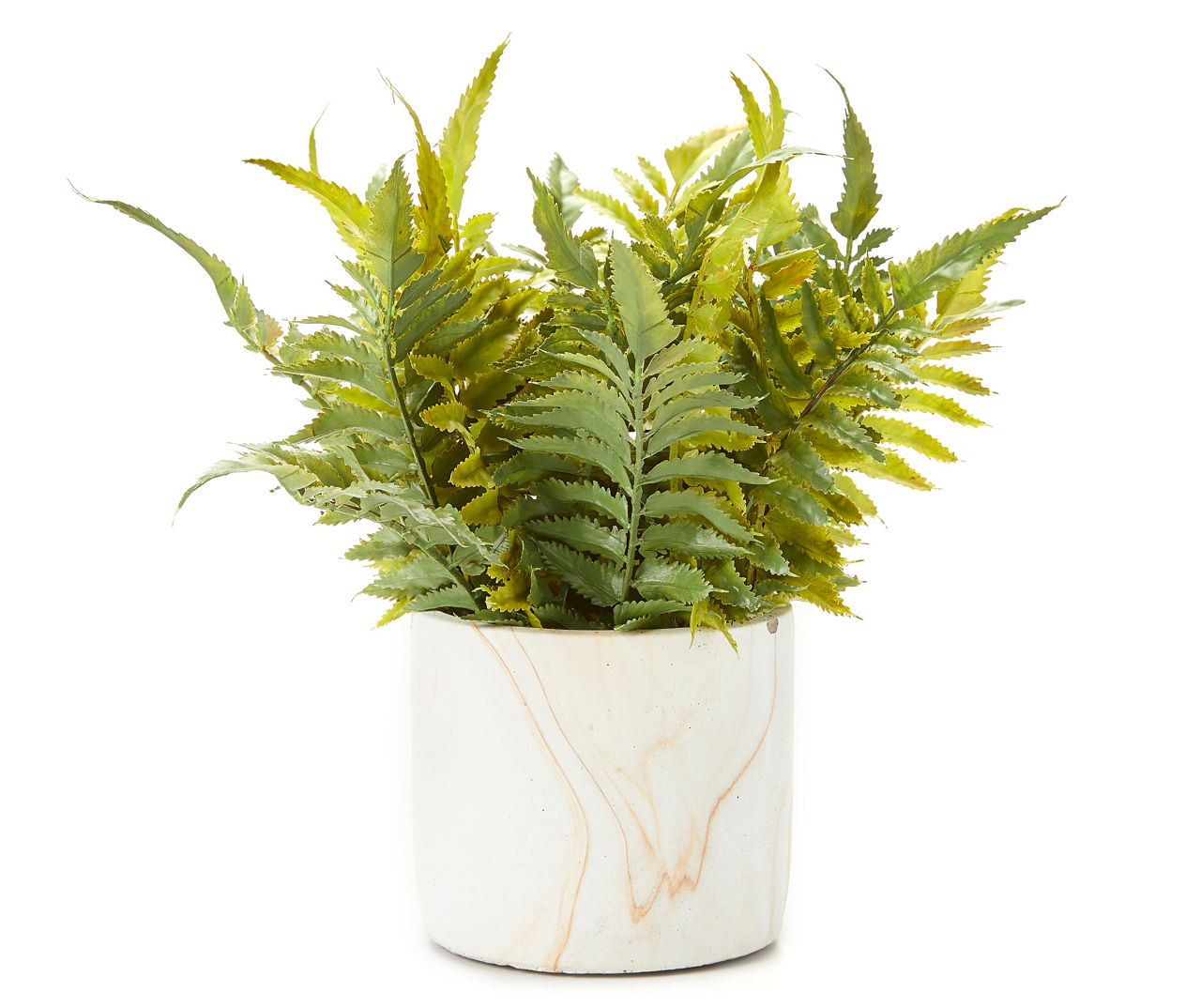 Broyhill Fern in Marbled Pot | Big Lots