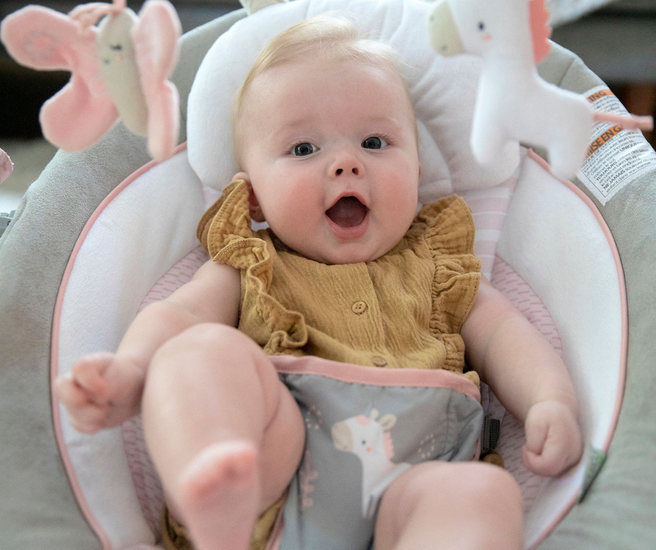 Ingenuity Flora Cradling Baby Bouncer with Unicorn Big Lots