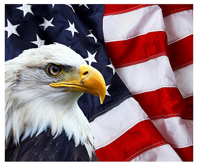American Flag Eagle Wilderness Throw Blanket