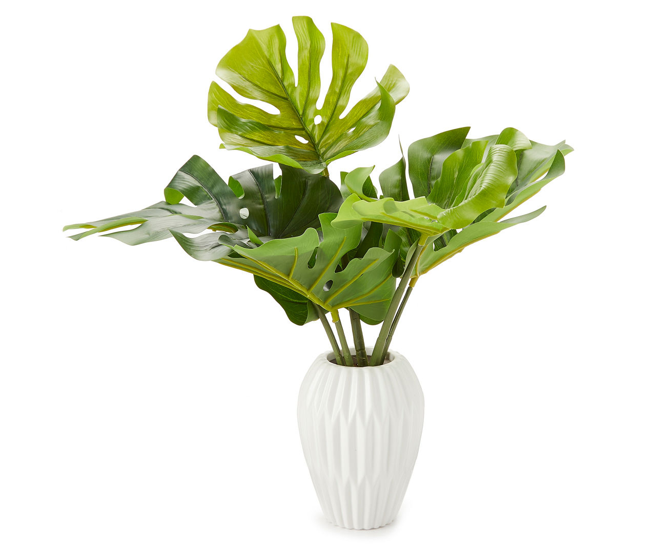 Monstera Plant in Ceramic Pot