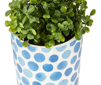 Greenery in Blue Dotted Pot