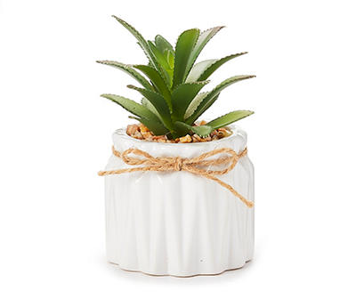 Mini Aloe Plant in White Pot