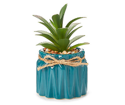 Mini Aloe Plant in Blue Pot