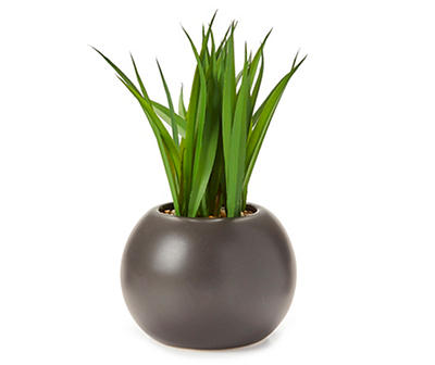 Grass in Ceramic Pot