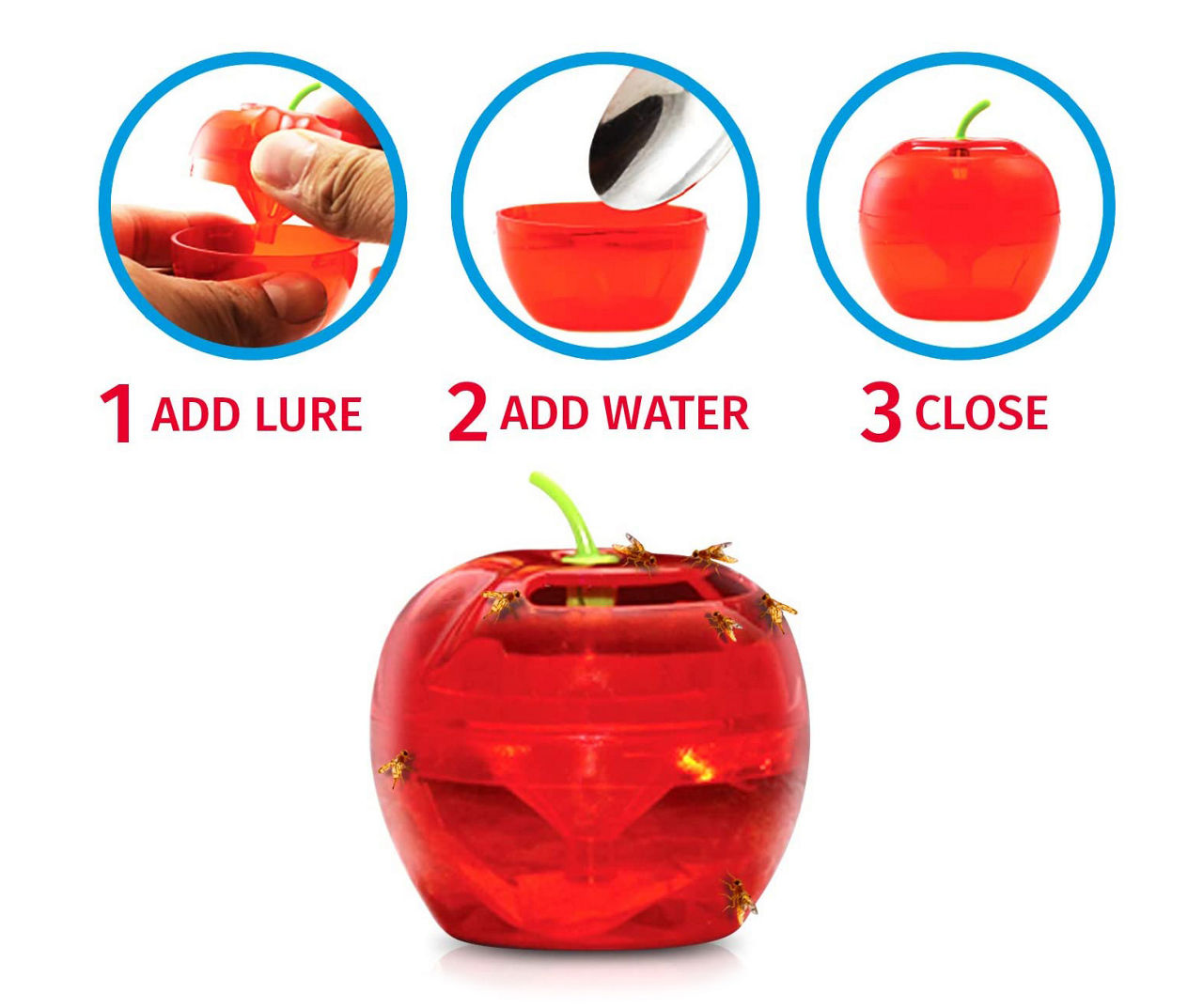 Bomgaars : Raid Fruit Fly Traps, 120 Day Supply, Non-Toxic Insect Killer,  2-Count : Fly Traps