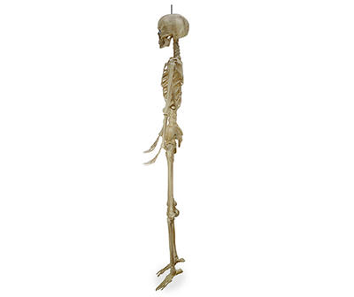5' LED Poseable Skeleton