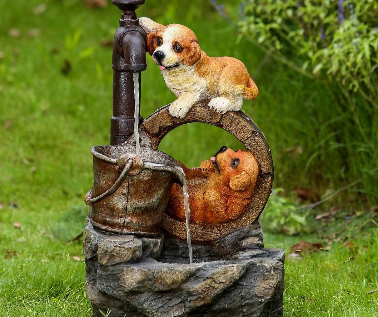 Dog in outlet water fountain