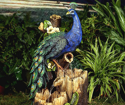 Peacock on Stump Water Fountain