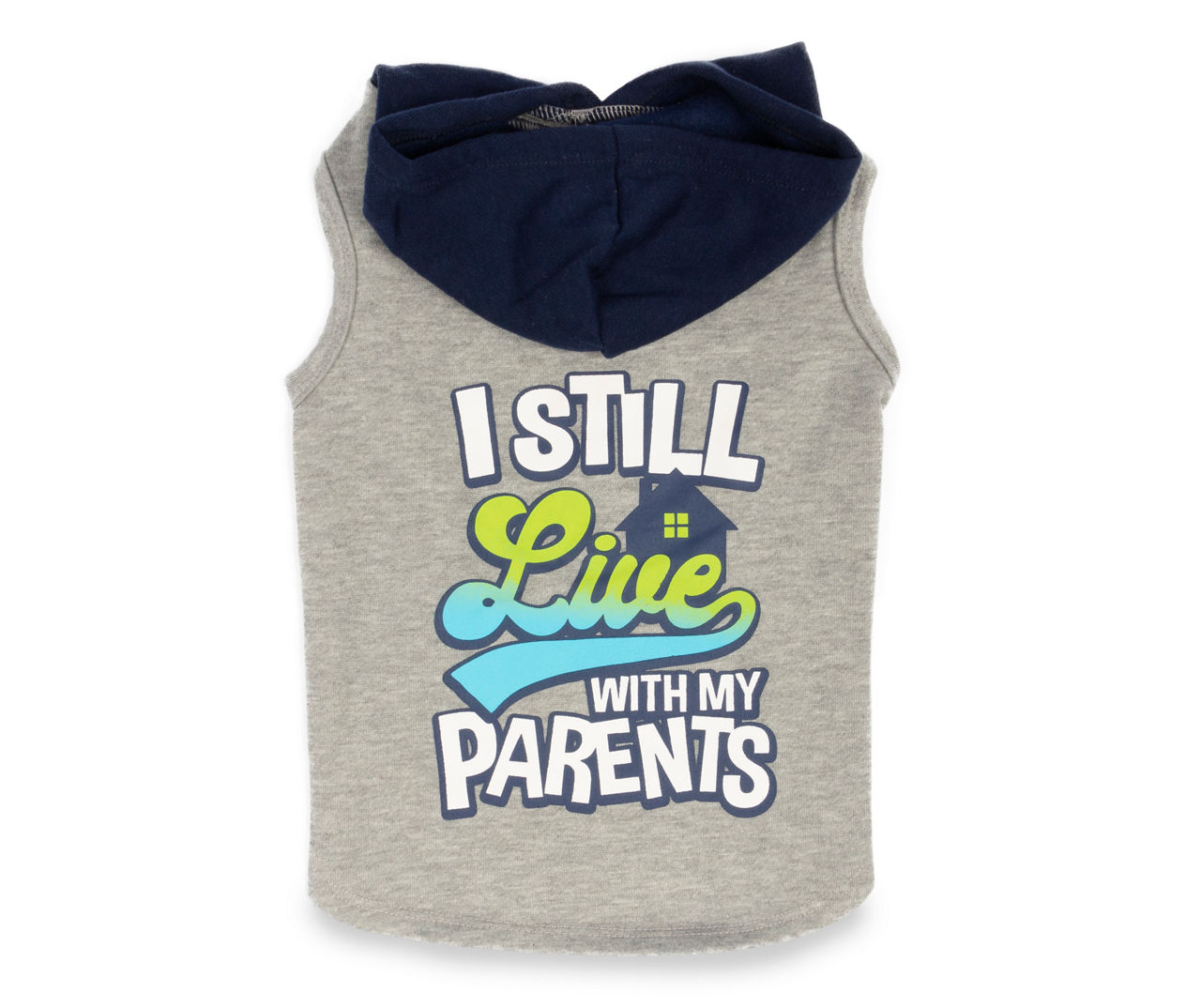 "Live With My Parents" Pet Small Gray & Blue Hoodie