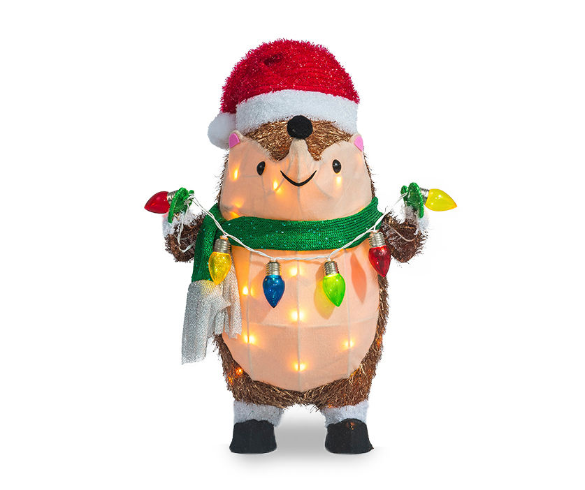 Winter Wonder Lane 26" LightUp Hedgehog & String Lights Big Lots