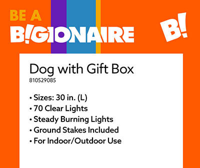 30" Light-Up Dog & Gift Box