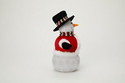 14" Musical & Light-Up Snowman Plush
