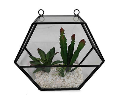 Succulents in Black Hanging Glass Planter