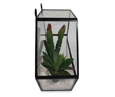 Succulents in Black Hanging Glass Planter