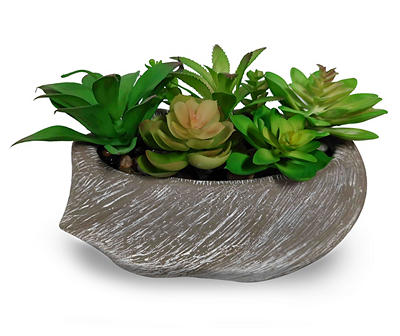Succulents In Textured Cement Pot
