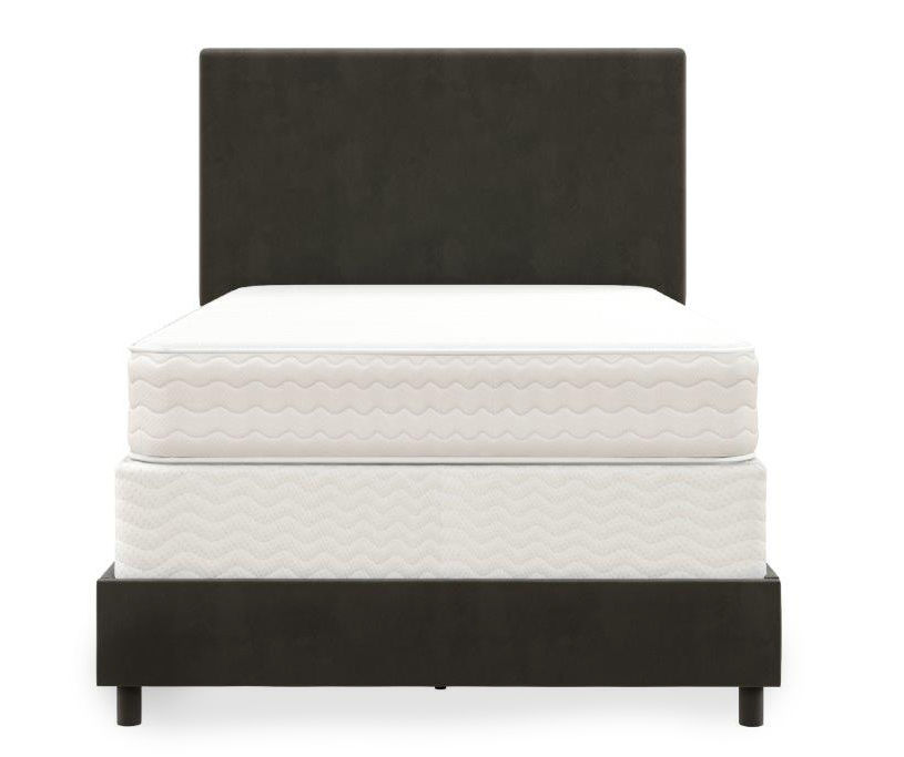 Novogratz Z By Novogratz Taylor Gray Velvet Twin Bed | Big Lots