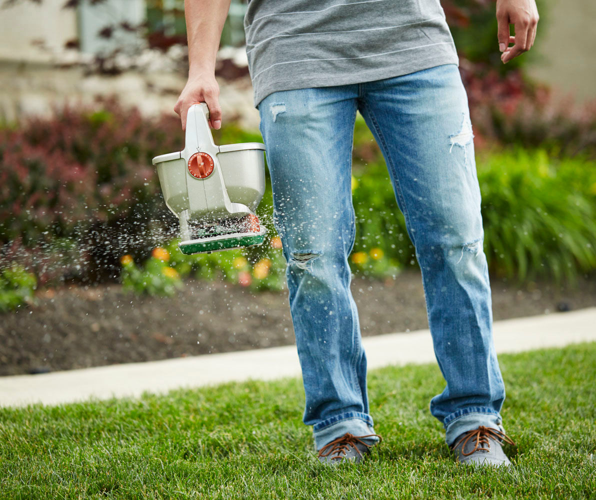 Wizz Spreader