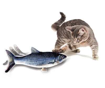 Flippity Fish Cat Toy