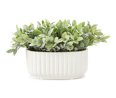 Green Leafy Plant in White Ripple Oval Ceramic Pot