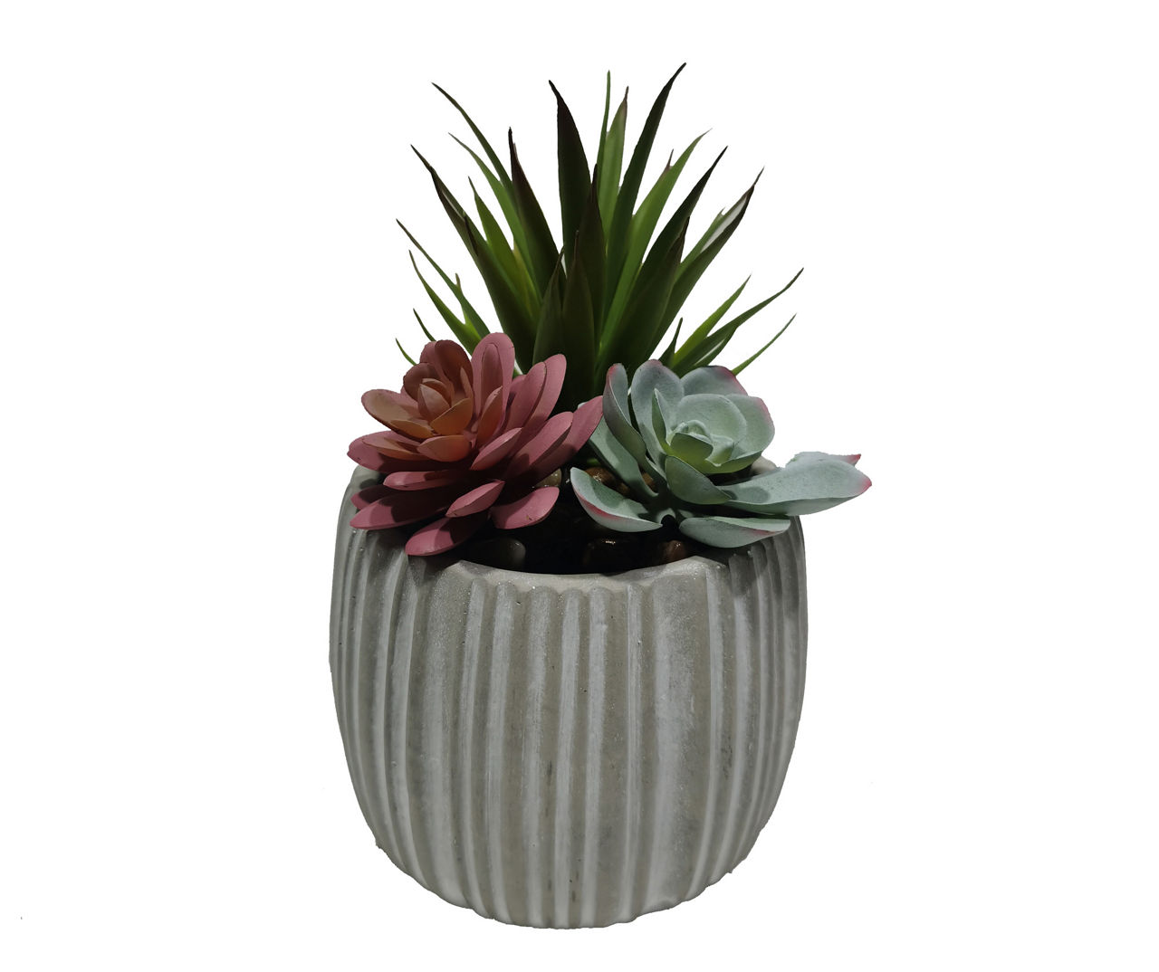 Succulents In Carved Line Cement Pot 