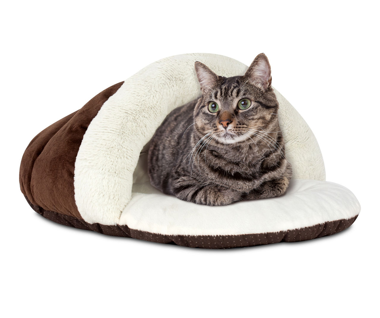 Big lots 2025 cat beds