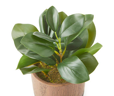 Green Artificial Mini Magnolia in Brown Wood-Look Ceramic Pot