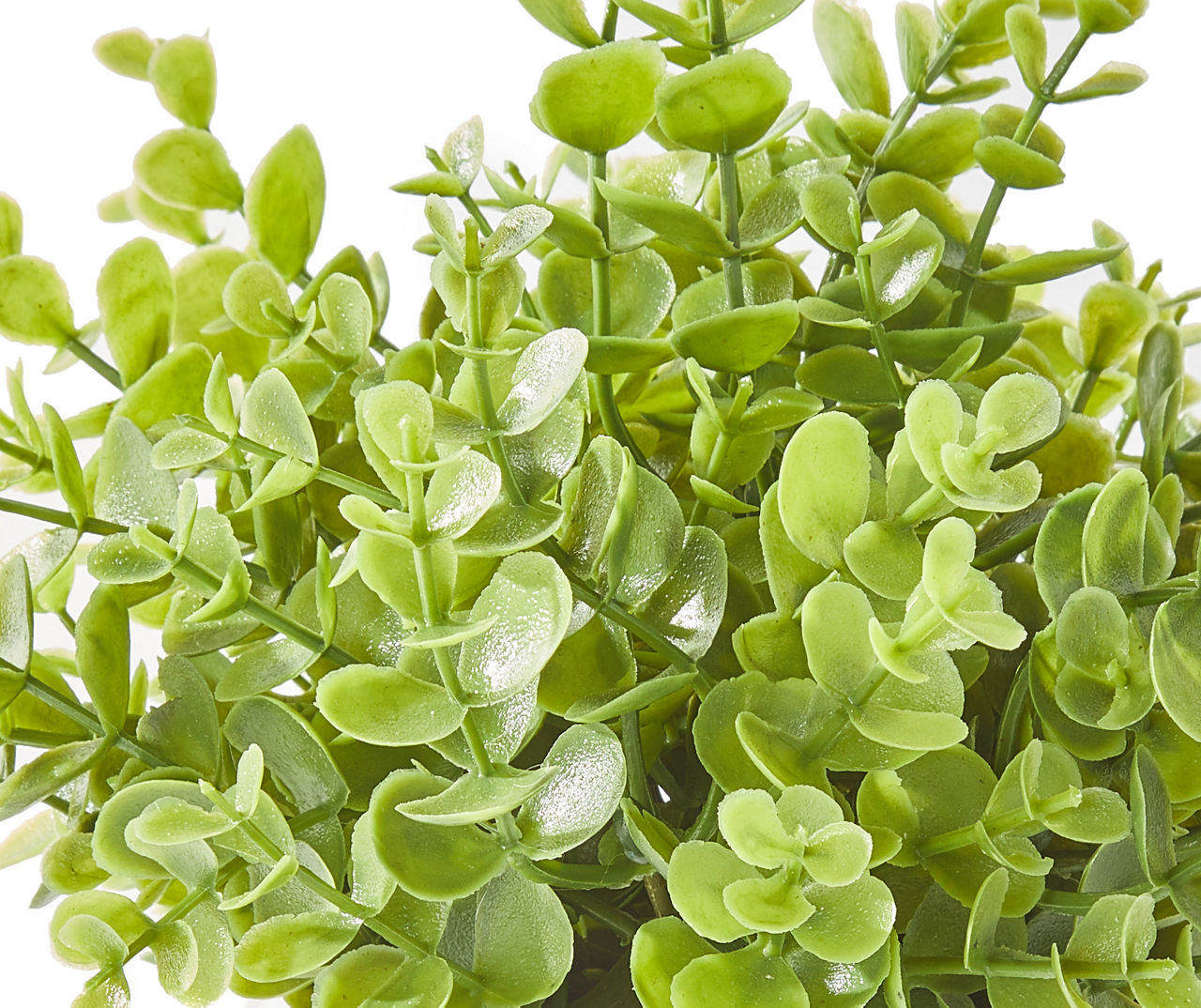 Greenery in White Round Ceramic Pot