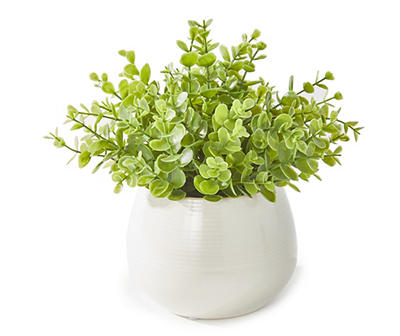 Greenery in White Round Ceramic Pot