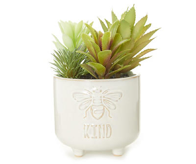 Bee Kind Succulents in White Embossed Ceramic Pot
