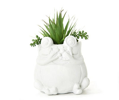 Succulent in White Cement Frog Pot