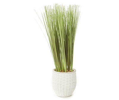 Onion Grass Plant in White Woven Ceramic Pot