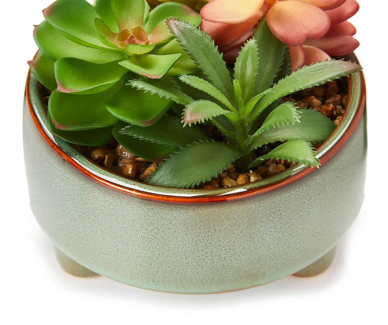 Mixed Succulent in Footed Ceramic Pot