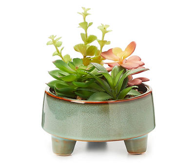 Mixed Succulent in Footed Ceramic Pot