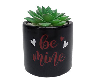 Mini Succulent in "Be Mine" Black Ceramic Pot