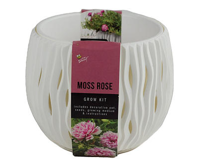 Moss Rose & Wave Planter Grow Kit
