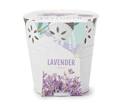 Lavender & White Pail Flower Grow Kit