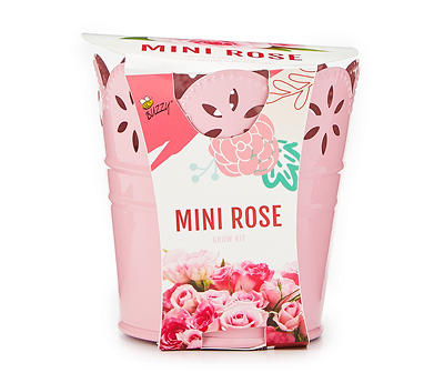 Mini Rose & Pink Pail Flower Grow Kit