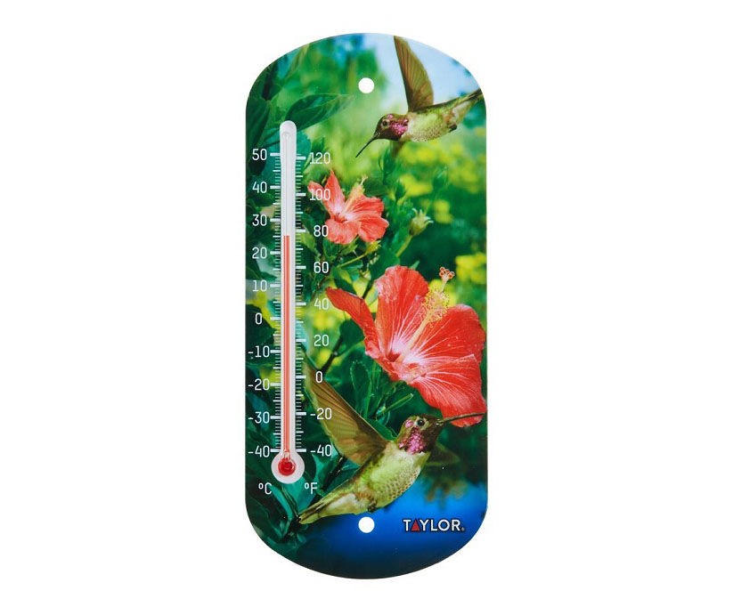 Hummingbird Outdoor Wall Thermometer