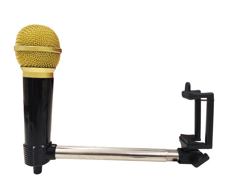 Art + Sound Selfie Stick with Microphone