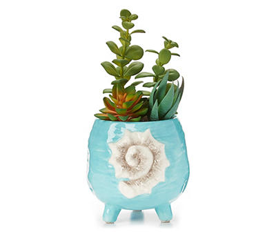 SUCCULENTS IN BLUE CONCH POT WITH LEGS