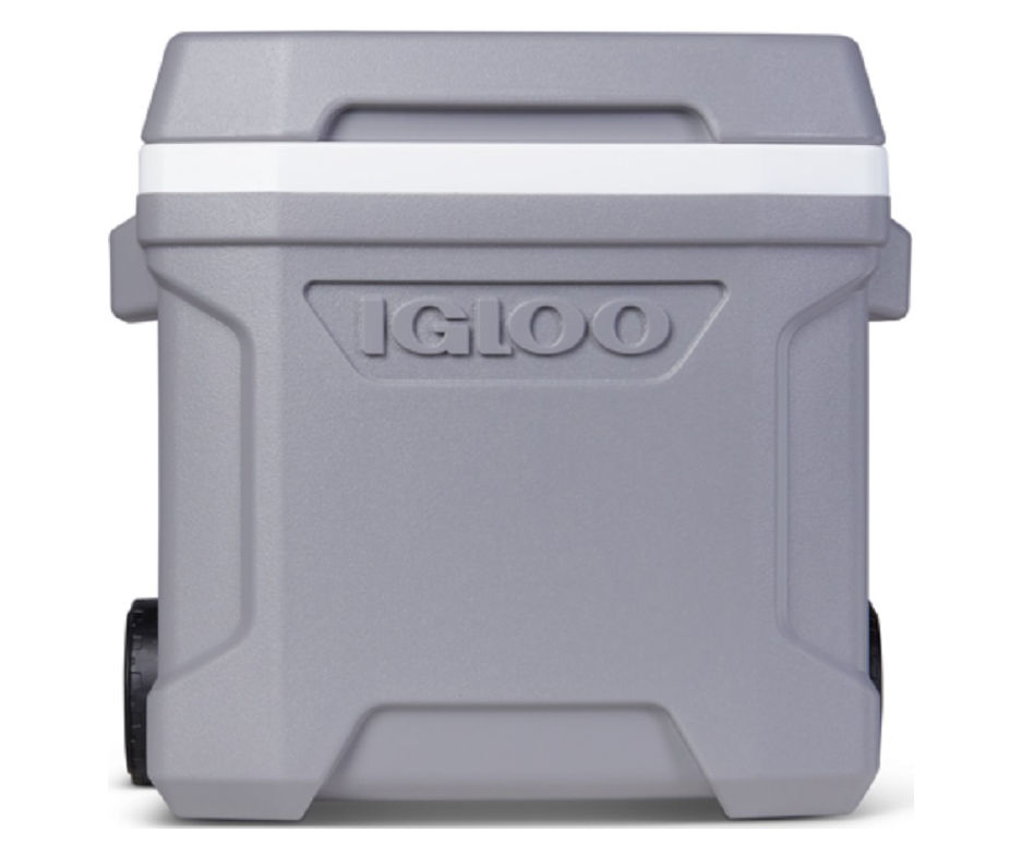 Igloo 16 best sale quart cooler