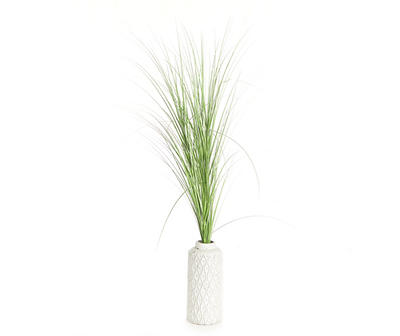 5' Grass in White Embossed Pot