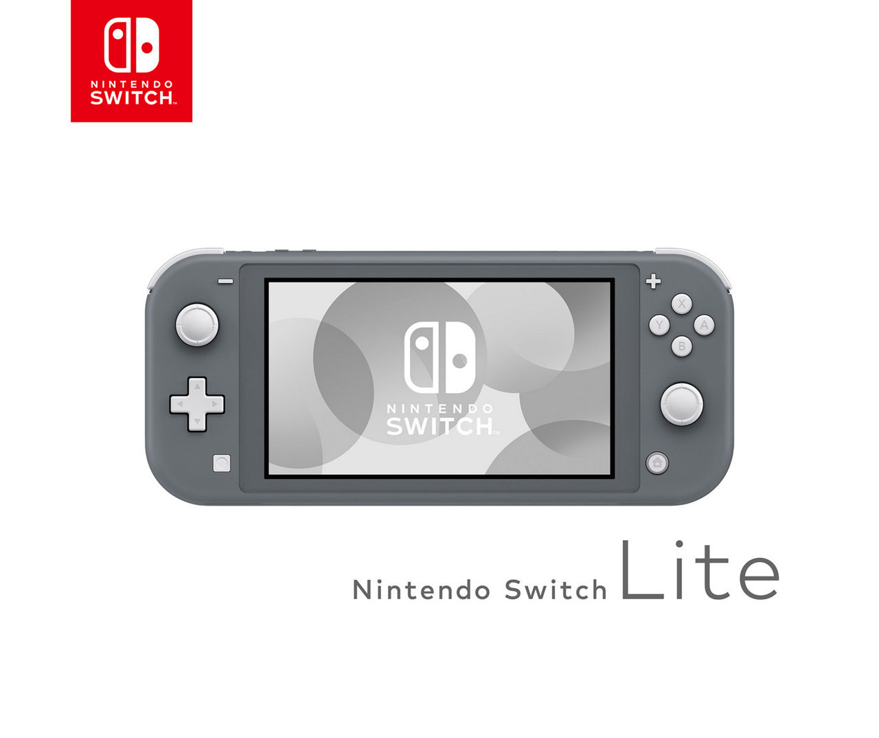 switch lite グレー　（保護グッズ付き）