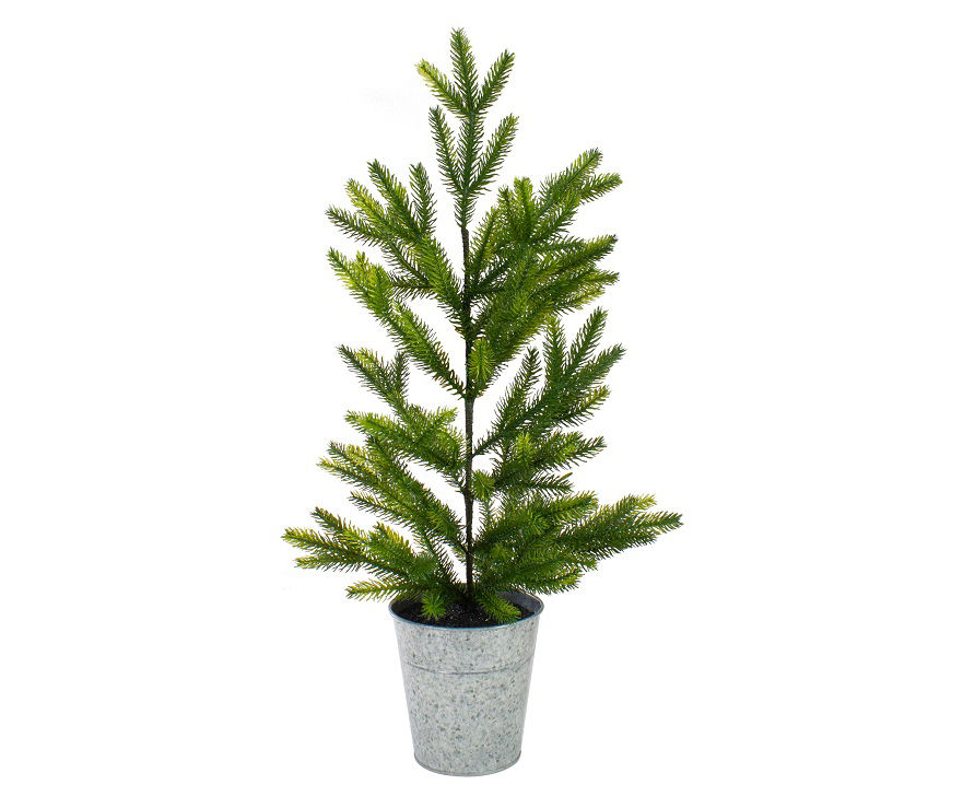 Northlight 2' Pine Unlit Artificial Potted Christmas Tree Big Lots
