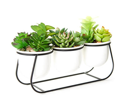 Succulents in 3-Pots with Metal Stand